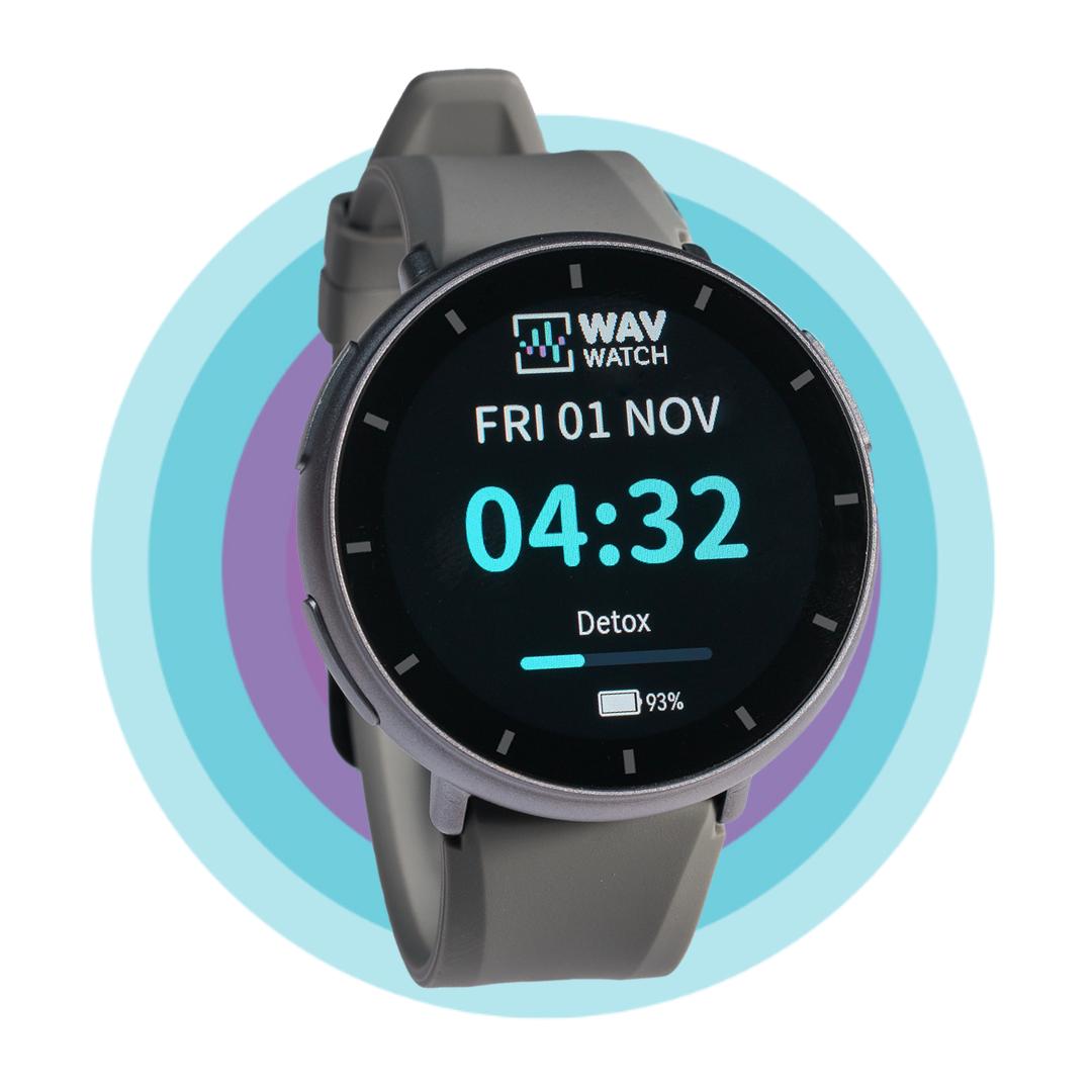 WAVwatch