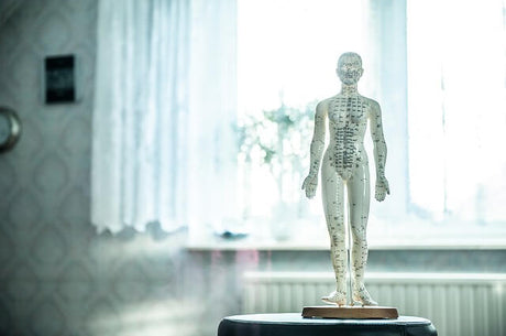 7 Reasons to Seek Out Acupuncture