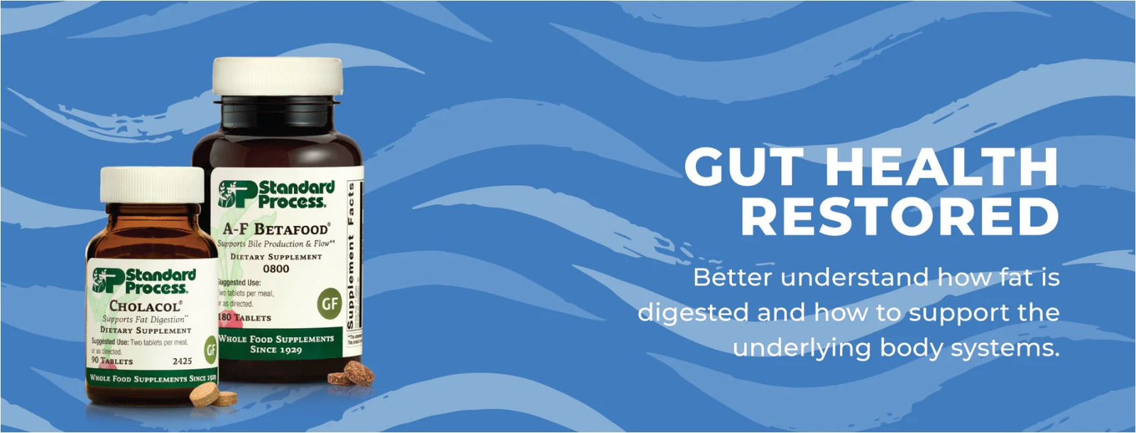 Gut Health Restored: Fat Digestion