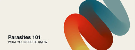 Parasite Cleansing 101: What You Need to Know