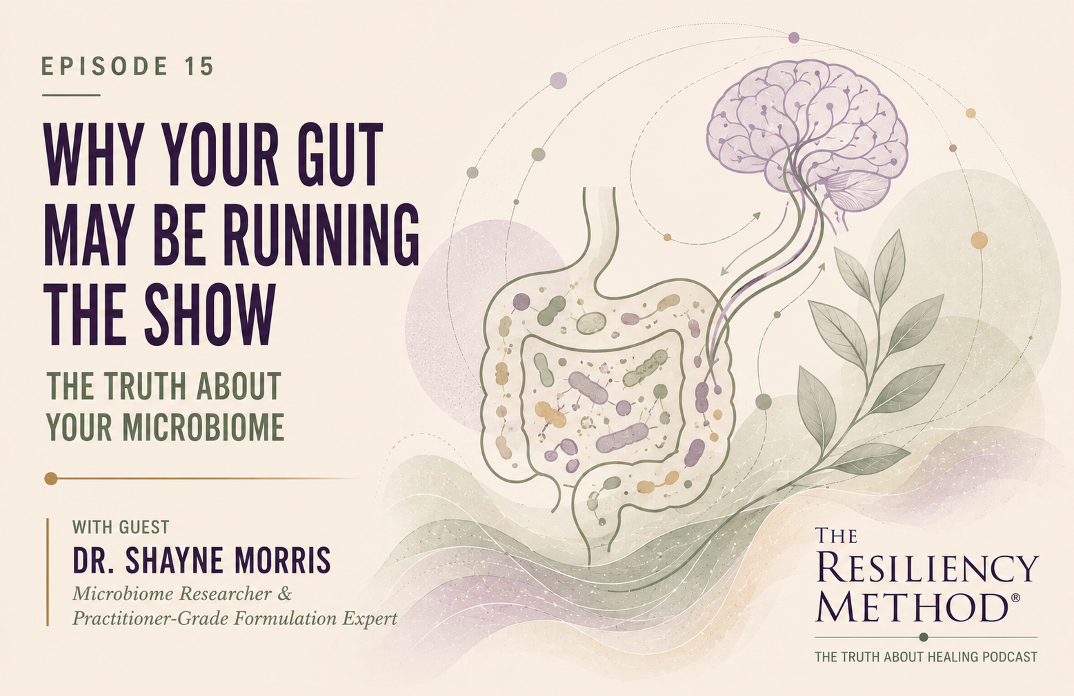Why Your Gut May Be Running the Show: The Truth About Your Microbiome