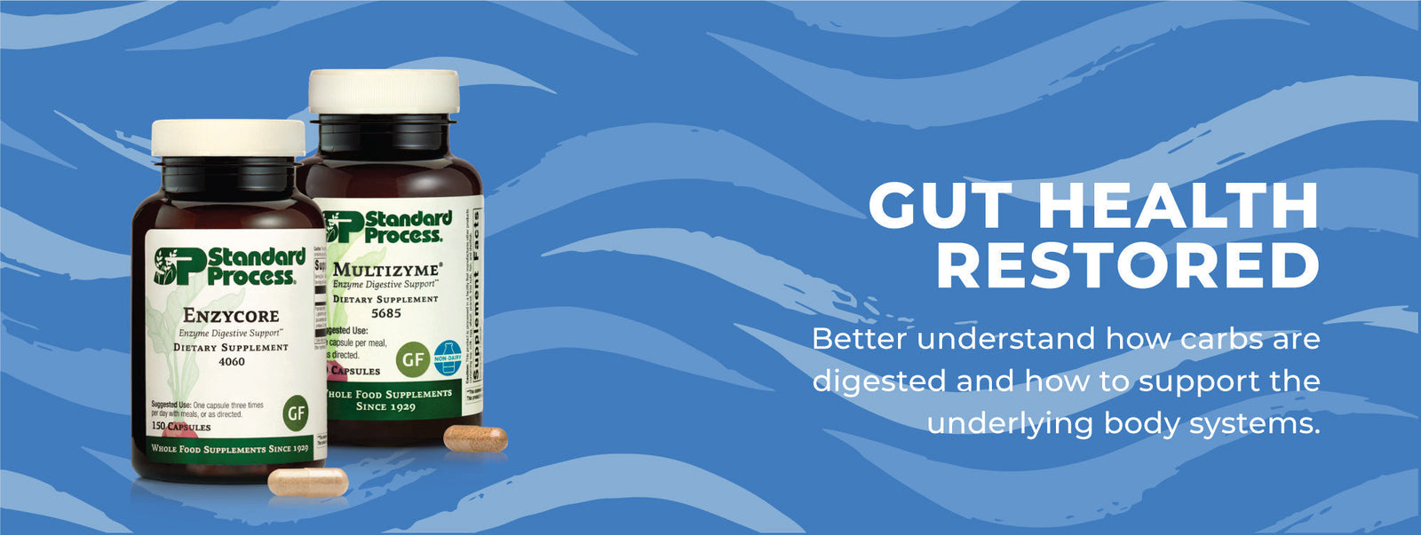 Gut Health Restored: Carbohydrate Digestion