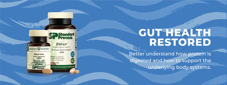 Gut Health Restored: Protein Digestion