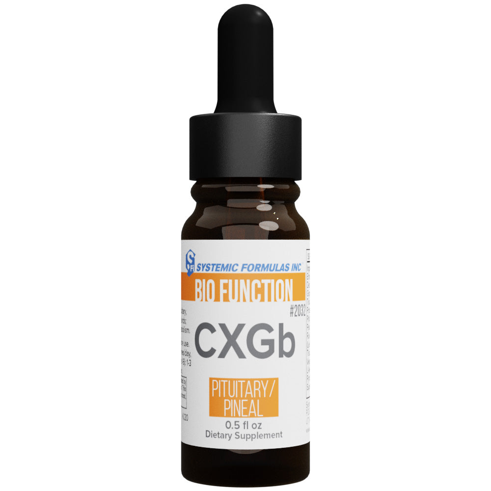 CXGb