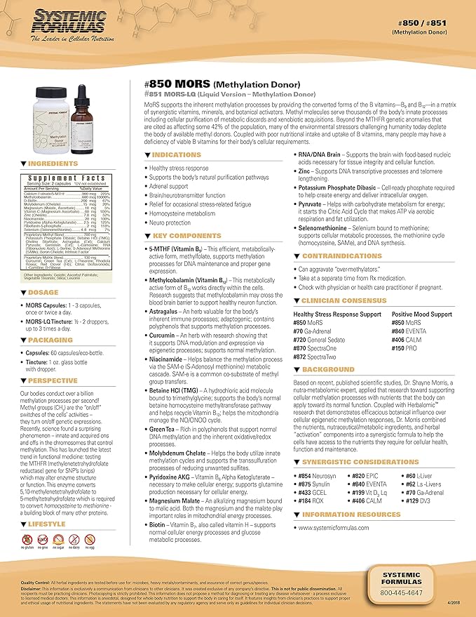 Mors LQ Methylation Donor LQ 1oz   