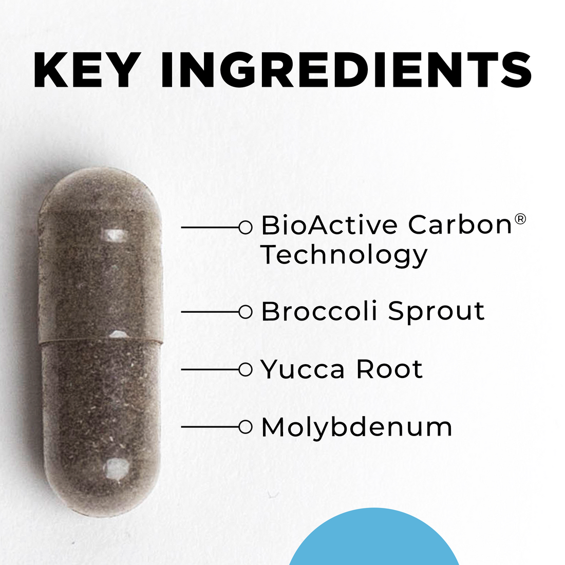 BioToxin Binder 120 Capsules 