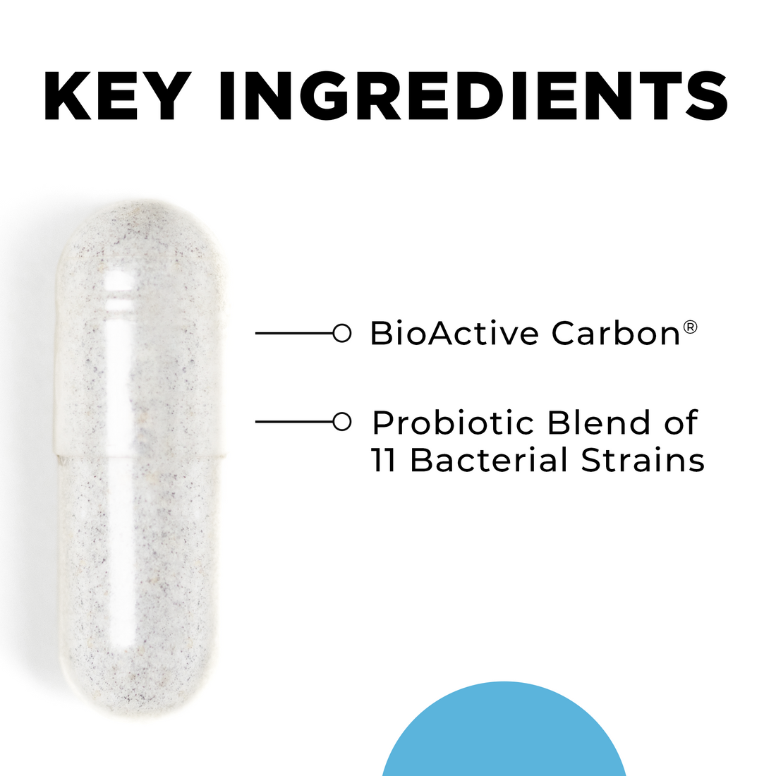 CT-Biotic 60 Capsules