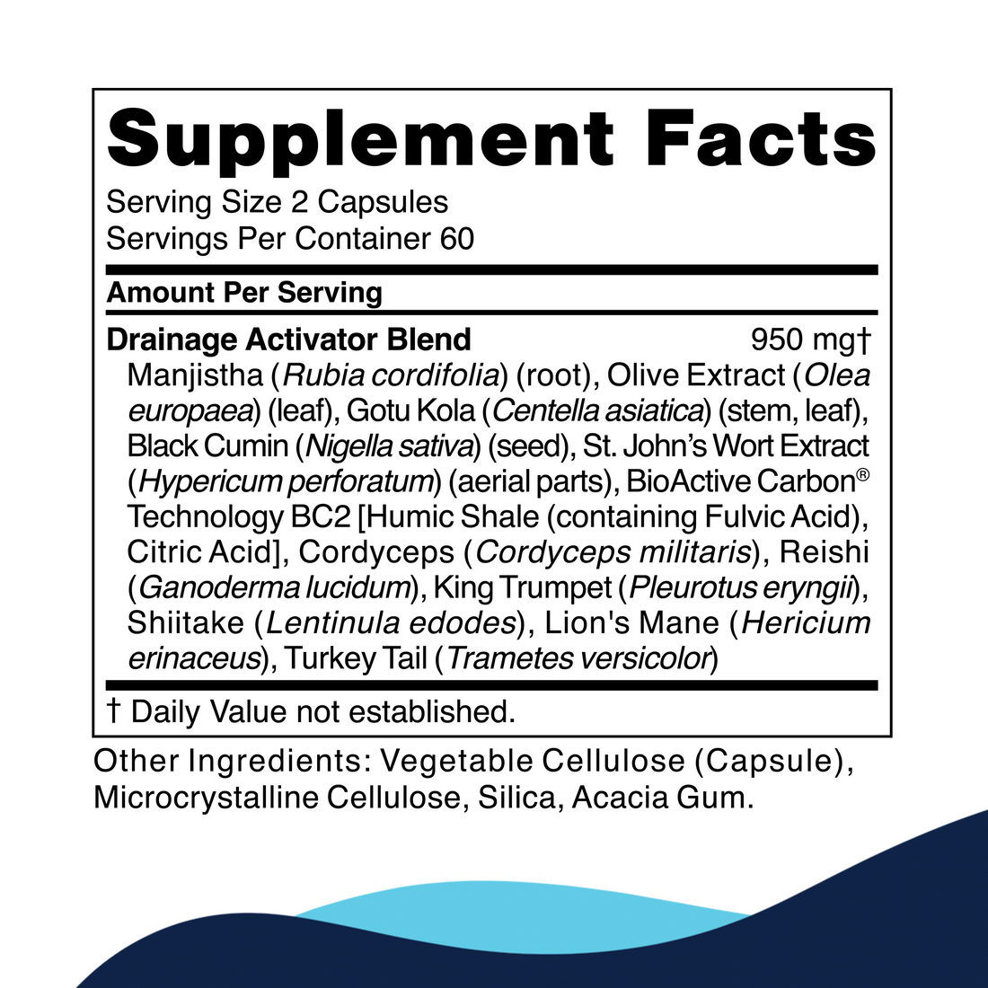 Drainage Activator 120 Capsules