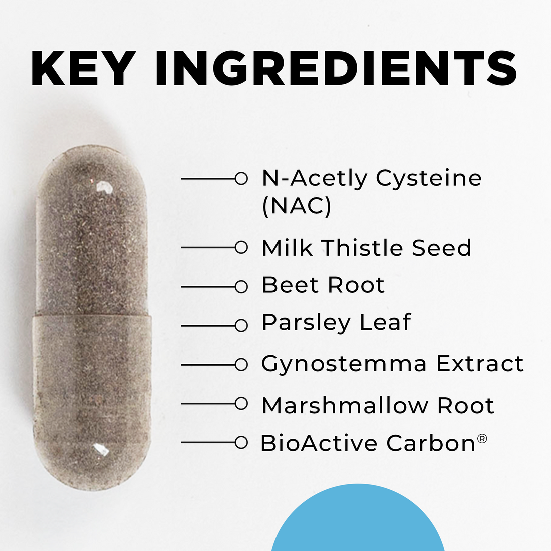 KL Support 120 Capsules
