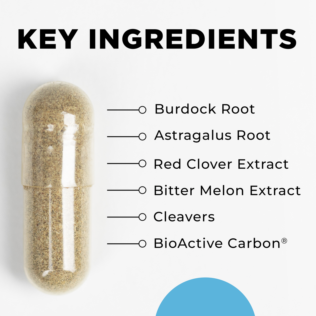 LymphActiv 60 Capsules