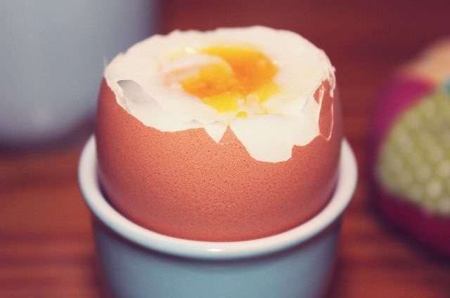 egg protein